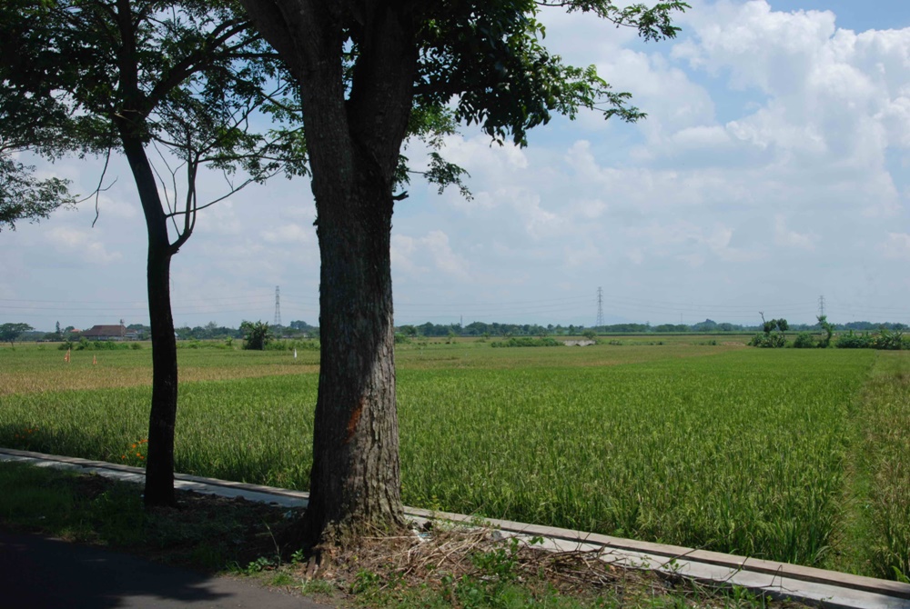 Disetrap Properti Solo / Surakarta